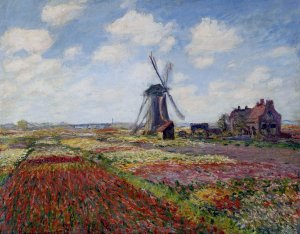 Fields Of Flowers And Windmills Near Leiden