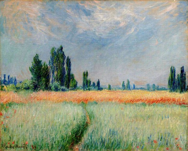 The Wheat Field