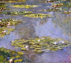 Water Lilies51